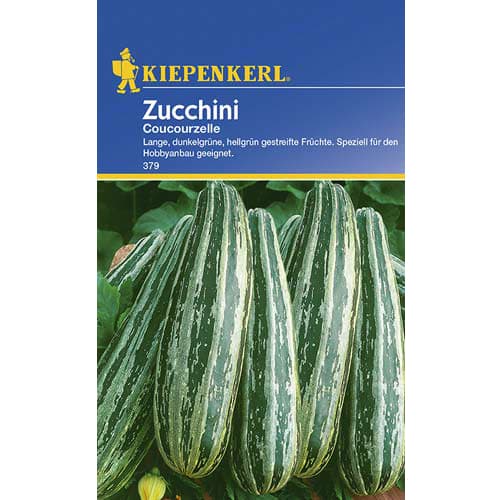 Zucchini Courcourcelle interface.art Bild 1 Zucchini Courcourcelle interface.image 1 interface.art 77466