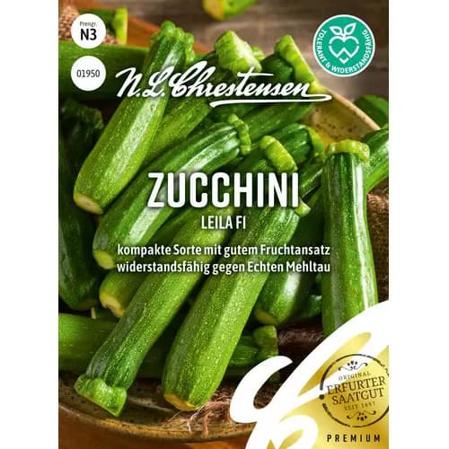 Zucchini Leila F1 interface.art Bild 1 Zucchini Leila F1 interface.image 1 interface.art 96505
