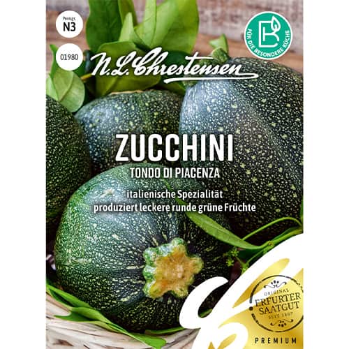 Zucchini Tondo di Piacenza interface.art Bild 1 Zucchini Tondo di Piacenza interface.image 1 interface.art 86107