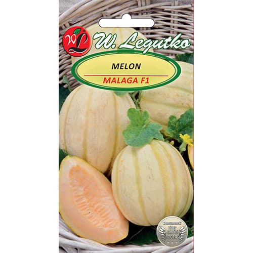 Zuckermelone Malaga F1 interface.art Bild 1 Zuckermelone Malaga F1 interface.image 1 interface.art 86855