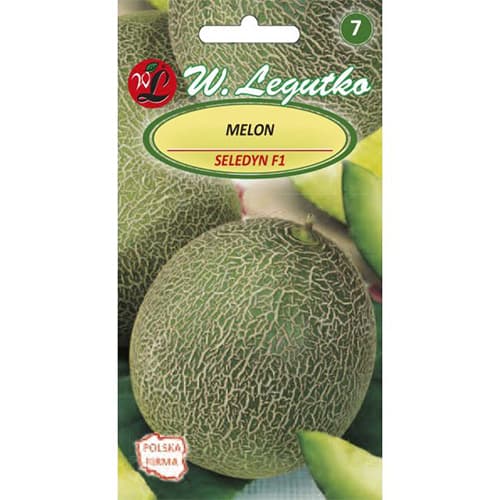 Zuckermelone Seledyn F1 interface.art Bild 1 Zuckermelone Seledyn F1 interface.image 1 interface.art 69495
