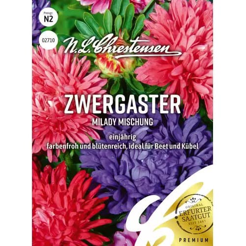 Zwergaster MiLady Mischung interface.art Bild 1 Zwergaster MiLady Mischung interface.image 1 interface.art 87825