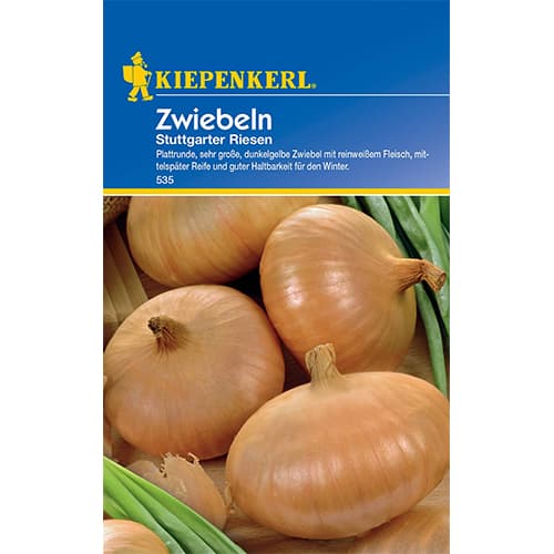 Zwiebel Stuttgarter Riesen Kiepenkerl interface.art Bild 1 Zwiebel Stuttgarter Riesen Kiepenkerl interface.image 1 interface.art 50077