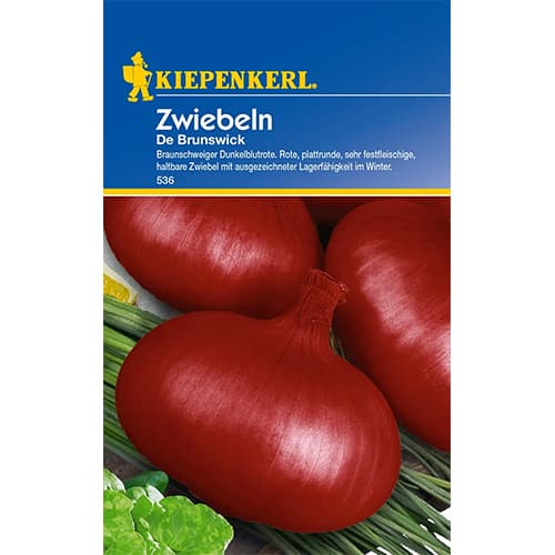 Zwiebel Braunschweiger Dunkelblutrote interface.art Bild 1 Zwiebel Braunschweiger Dunkelblutrote interface.image 1 interface.art 77457