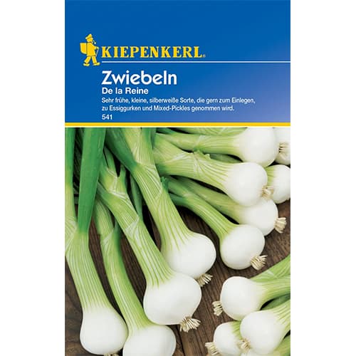 Zwiebel La Reine interface.art Bild 1 Zwiebel La Reine interface.image 1 interface.art 77459