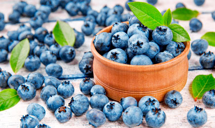 Blaue Vitamine | Haus und Garten