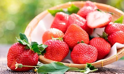 Saftige Süße | Haus und Garten