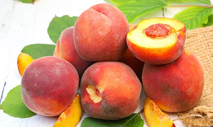 Ein Traum für Feinschmecker | Haus und Garten