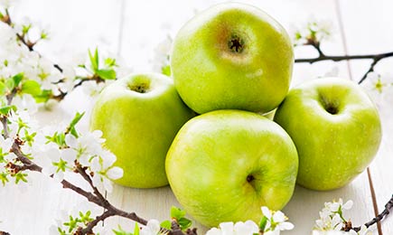 Große Früchte | Haus und Garten