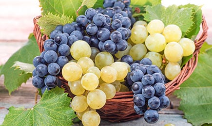 Süße Weintrauben | Haus und Garten