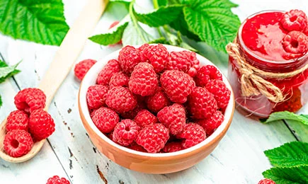Himbeeren Shopping | Haus und Garten