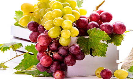 Ihr eigener Weingarten | Haus und Garten