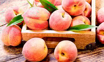 Saftiger Genuss | Haus und Garten