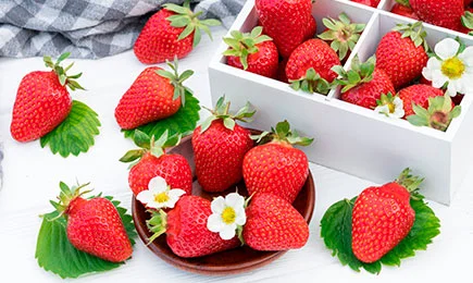 Ungewöhnliches Dessert | Haus und Garten